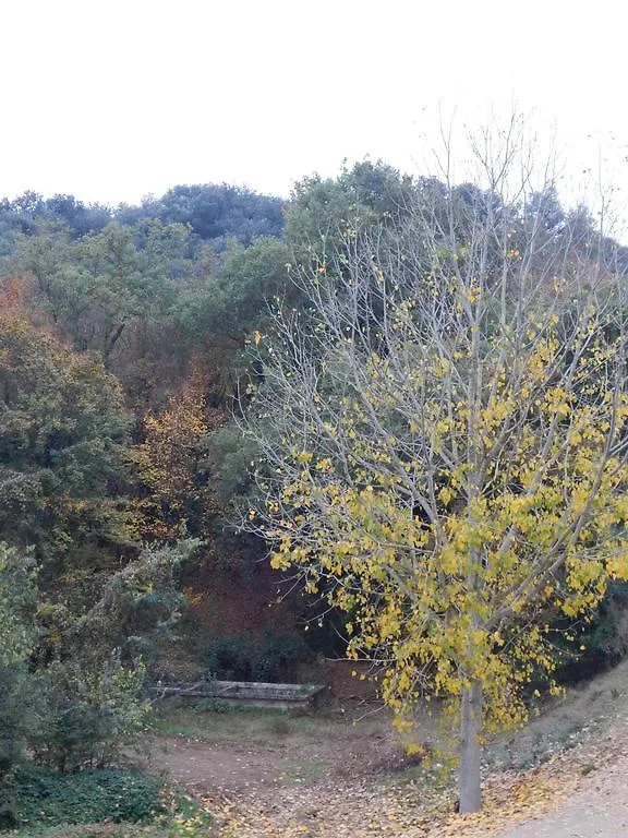 Casa Canut Tartareu